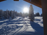 Waldabfahrt zur Skih&uuml;tte