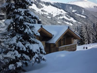 eingebettet im Schnee